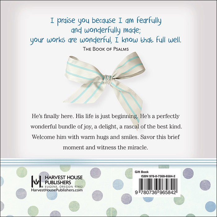 Little Boys are Wonderfully Made