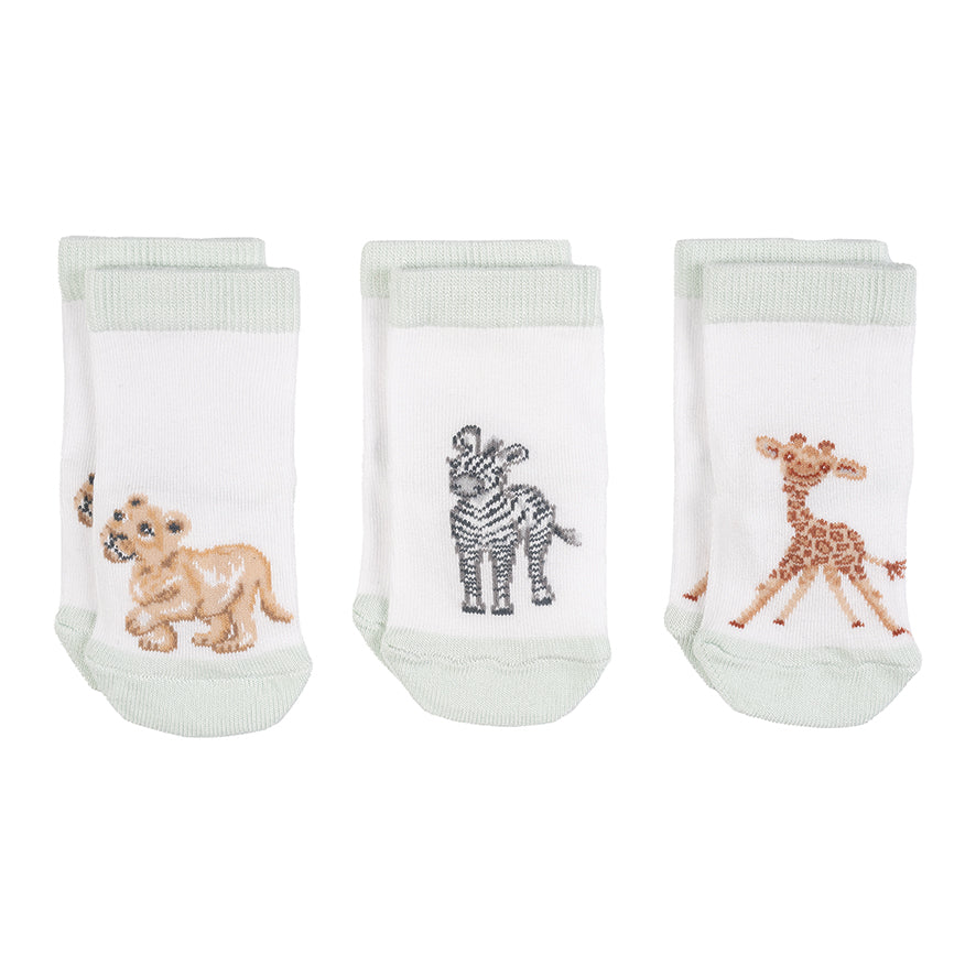 Wrendale Little Wren Socks