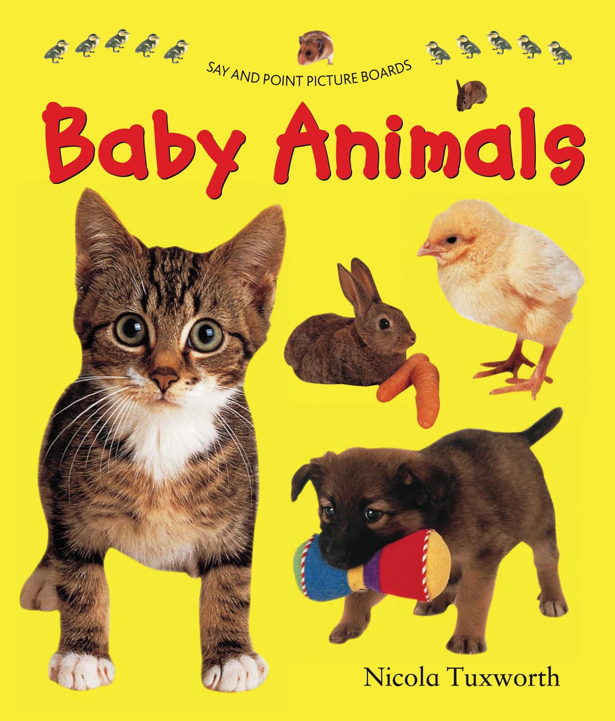 Baby Animals