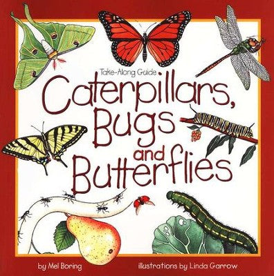 Caterpillars Bugs & Butterflies