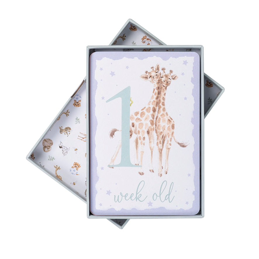Baby Milestone Cards by Wrendale